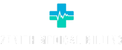 Zenith Medical Billing Logo Lite version